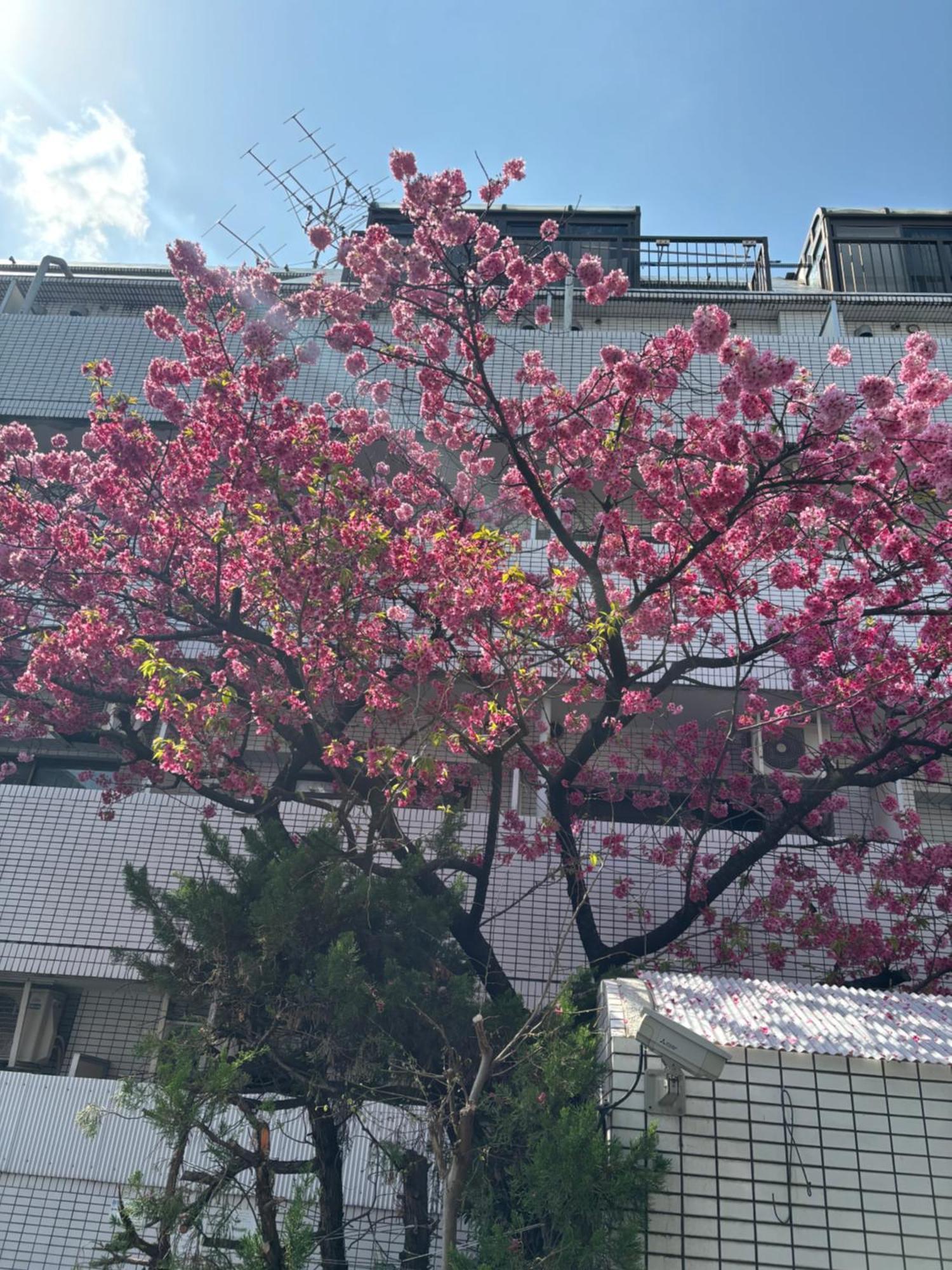City Hotel Dolphin Tokyo Exterior photo